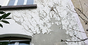Fassadenschäden - Bausachverständiger
