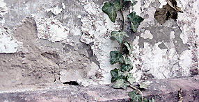 Sockelschäden - Bausachverständiger